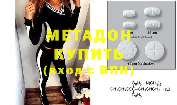 прущие грибы Беломорск