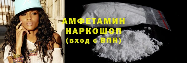 прущие грибы Беломорск