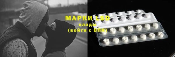 прущие грибы Беломорск