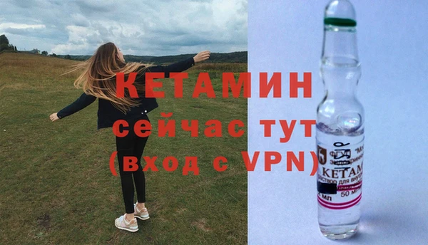 прущие грибы Беломорск