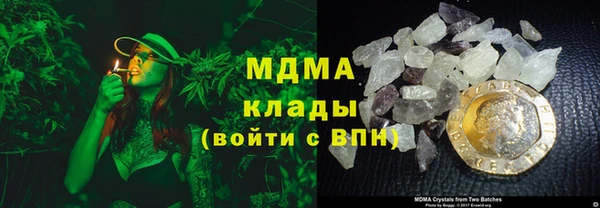 прущие грибы Беломорск