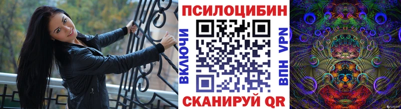 нарко площадка какой сайт  Кунгур  Псилоцибиновые грибы Psilocybe 